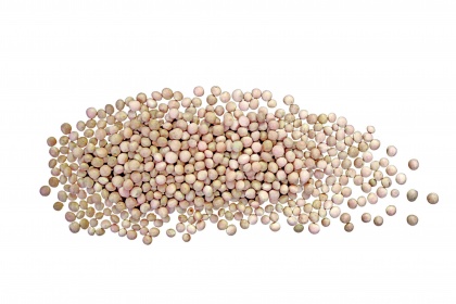 GRAHORICA Bela