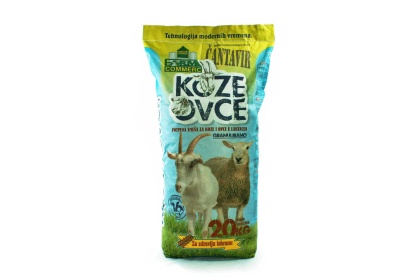 KOZE I OVCE  Koza i Ovaca u laktaciji